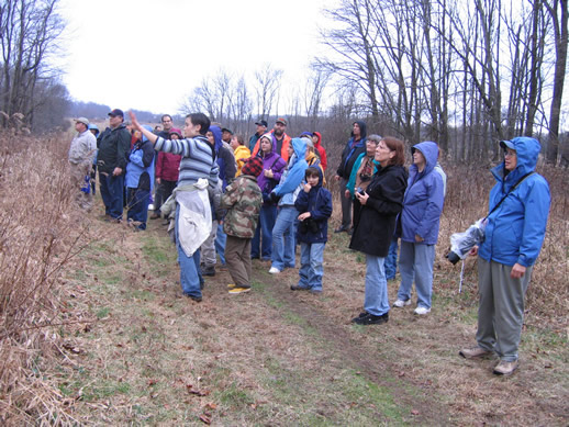 Group observing